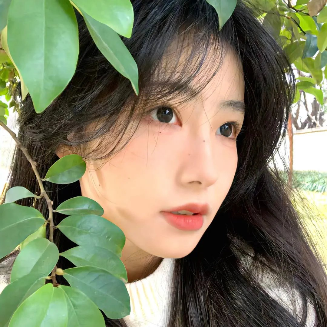 看见巧克力的世界